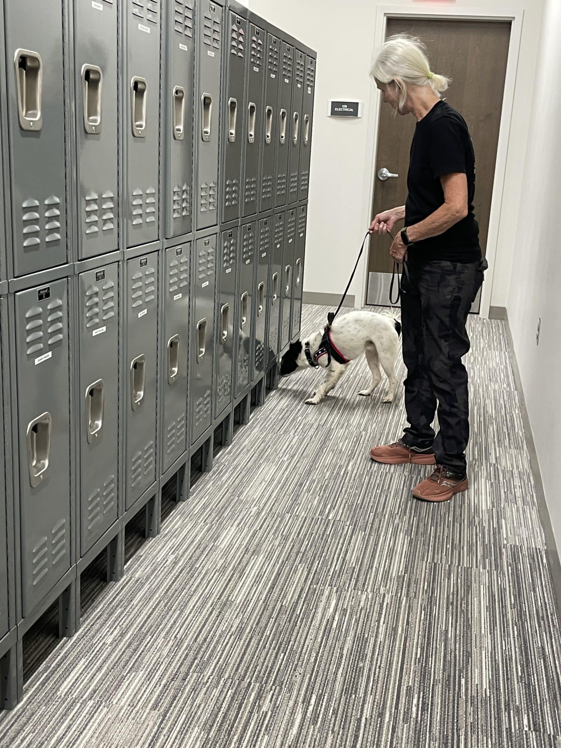 Brio sniffing lockers for bed bugs